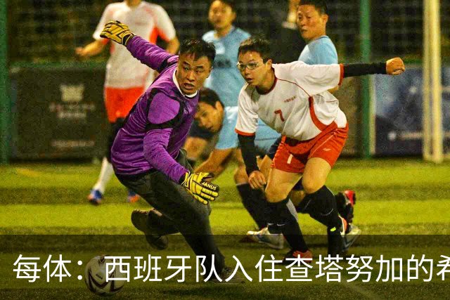 每体：西班牙队入住查塔努加的希尔顿酒店，每晚房费超150欧元