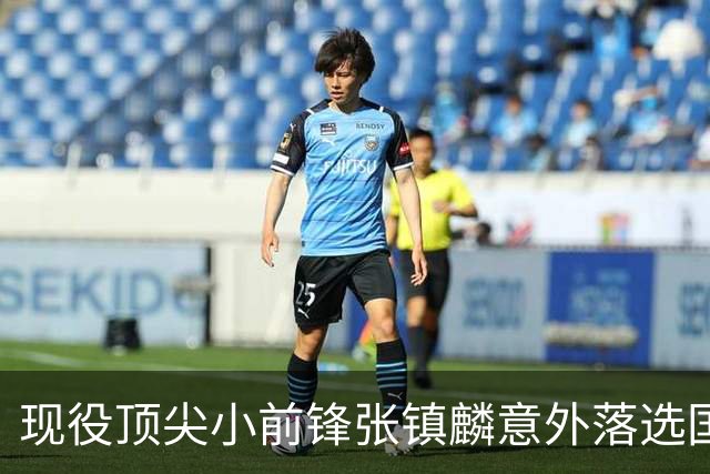 现役顶尖小前锋张镇麟意外落选国家队，郭士强选择背后的深层原因解析